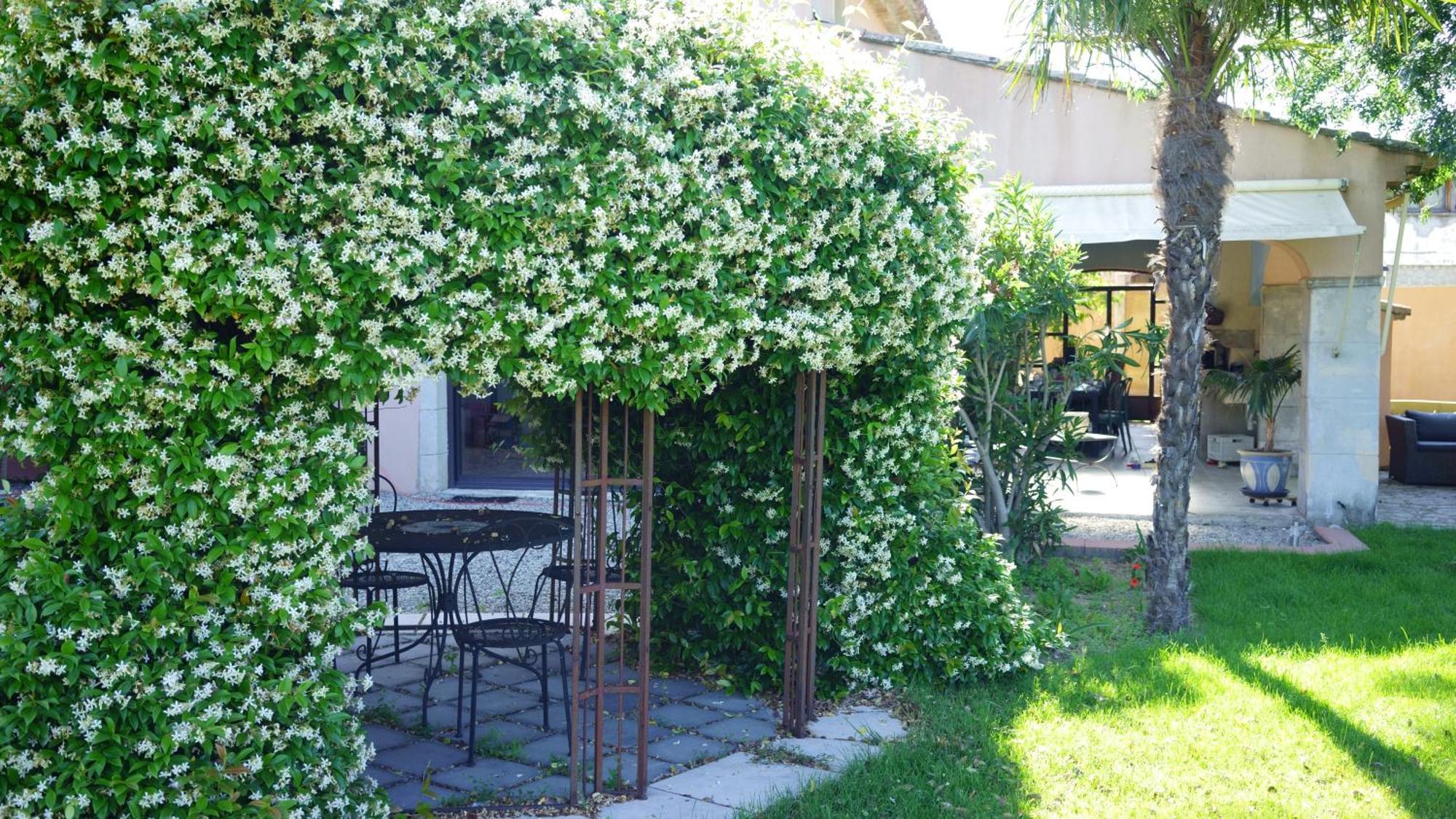 Chambres D'Hotes, B&B La Musardiere Alba-la-Romaine Exterior foto